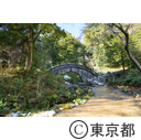雪の小石川後楽園