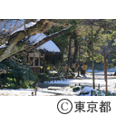 雪の小石川後楽園