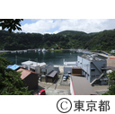 波浮港