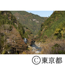 鳩ノ巣渓谷から奥多摩まで 紅葉