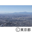 空撮 駒沢オリンピック公園