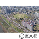 空撮 大島小松川公園の桜