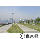 豊洲ぐるり公園