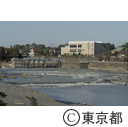 羽村の多摩川