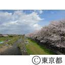 柳瀬川回廊