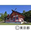 小笠原（父島：11/27~12/2）