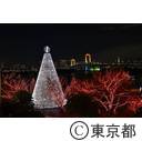 お台場レインボー花火