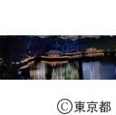 浜離宮恩賜庭園（ライトアップ）