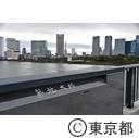 知事視察（築地大橋・豊洲市場）