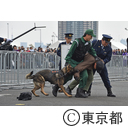 東京マラソン2016 （救命講習会・テロ対処訓練）