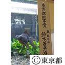第34回日本観賞魚フェア表彰式