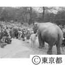 ネール首相上野動物園へ