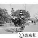 南砂町の公園