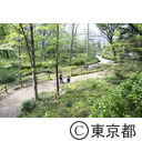 都立林試の森公園