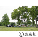都立舎人公園