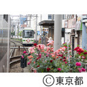 東京さくらトラム 三ノ輪橋駅周辺