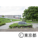 都立汐入公園