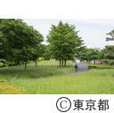 都立汐入公園