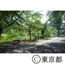都立善福寺公園 善福寺池 下の池