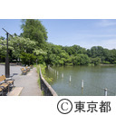 都立善福寺公園 善福寺池 上の池