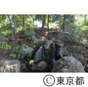 都立善福寺公園 遅野井の滝