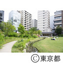 坂本町公園（東京初の市街地小公園）