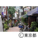 辰巳新道