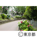都立水元公園