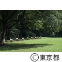 都立砧公園