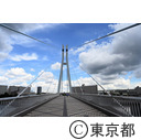 辰巳桜橋