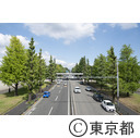 駒沢オリンピック公園周辺の駒沢通り