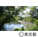 都立狭山公園