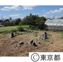 田端環状積石遺構（ストーンサークル）