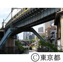 昌平橋から聖橋をのぞむ