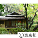 東京都庭園美術館の茶室光華