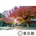小石川後楽園の紅葉