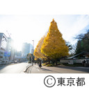 東京都庭園美術館前