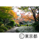 東京都庭園美術館日本庭園の紅葉