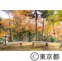 殿ヶ谷戸庭園の紅葉