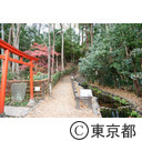 真姿の池湧水群