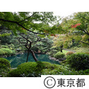東京都庭園美術館の日本庭園