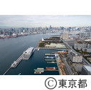 東京国際クルーズターミナルと解体中の船の科学館本館（空撮）