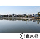 水元公園の内溜