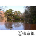 石神井公園の三宝寺池の厳島神社