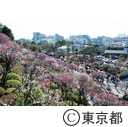 大田区立池上梅園からのぞむ町並み