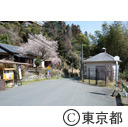 高尾梅郷（木下沢梅林近くの大下バス停付近）
