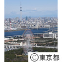 葛西臨海公園周辺 （空撮）
