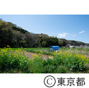 都立滝山自然公園・滝山城跡付近の風景