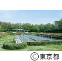 都立神代植物公園の噴水周辺
