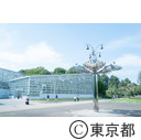 都立神代植物公園のカリヨンと大温室
